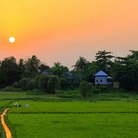 Rashid Chowdhury Photo 8