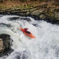Daniel Scanlan Photo 14