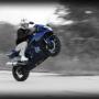David Woodward Photo 23