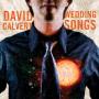 David Calvert Photo 24