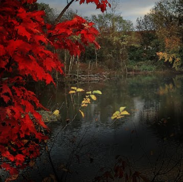 Ed Curtis Photo 36