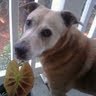 Julie Murray Photo 36