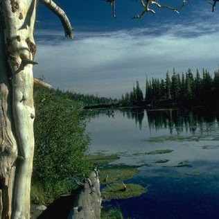 Robert Fitzgerald Photo 57