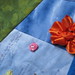 Debra Wing Photo 14