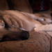 Dawn Couch Photo 18