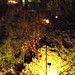David Blain Photo 38