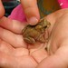 Katherine Hand Photo 5