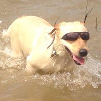 Carlene Hamilton Photo 16