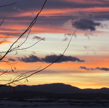 Jeff Ogden Photo 11