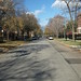 Ellis Franks Photo 5
