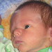 William Ashton Photo 37
