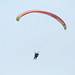 Mark Andrae Photo 8