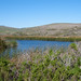 John Sayers Photo 39
