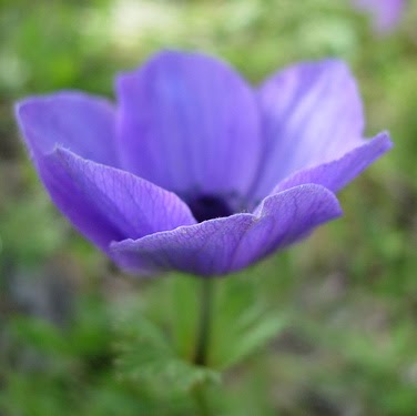 Christine Cote Photo 18