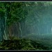 Forrest Sims Photo 10