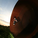 Mark Reece Photo 15