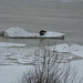Linda Hindman Photo 27