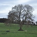Peter Hennessy Photo 15