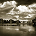 James Halstead Photo 36