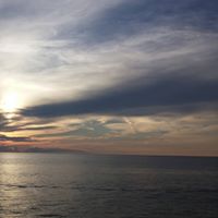 Nancy Falcone Photo 18