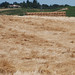 Carlton Hendricks Photo 11