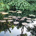 Debra Pond Photo 17