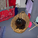 Kelly Gould Photo 15