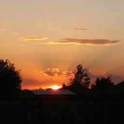 Melinda Palmer Photo 30