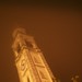 Tom Campanile Photo 6