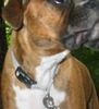 Julie Bensen Photo 11