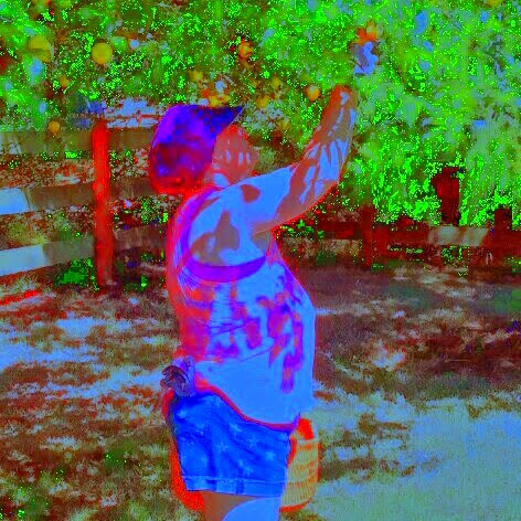 Karla Dodson Photo 8