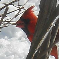Stephen Mckeon Photo 10