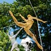 Michael Gard Photo 15