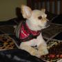 Judy Grimm Photo 24