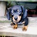 Jimmy Dean Photo 1