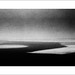 Dawn Stark Photo 23