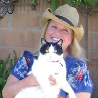Susan Singleton Photo 7