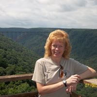 Robin Whiting Photo 16
