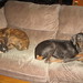 Dee Ellis Photo 20