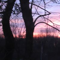 Nancy Mcintire Photo 12