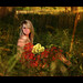 Erica Golden Photo 12