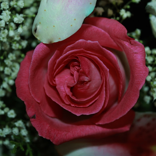 Annette Miles Photo 34
