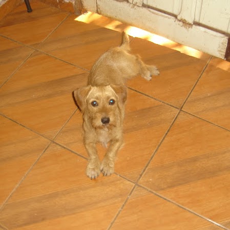 Elias Duarte Photo 19