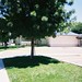 Edna Hill Photo 20