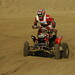 Paul Holmes Photo 33