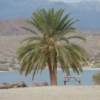Mary Kerns Photo 35
