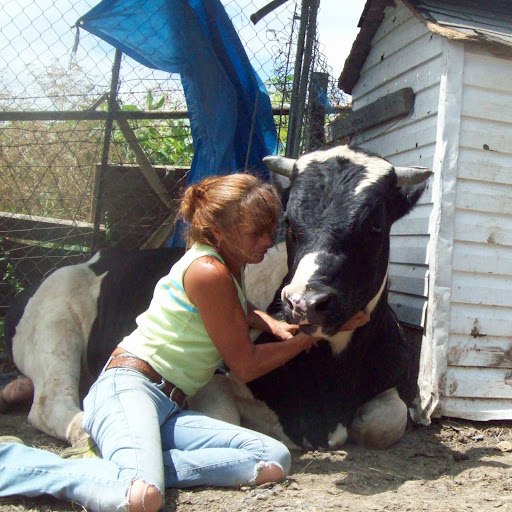 Debra Hansen Photo 22