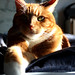 Ginger Kirby Photo 20