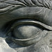 Mark Simonds Photo 15