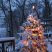 Jeanette Palmer Photo 30